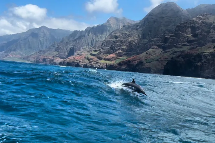 a body of water with a mountain in the background