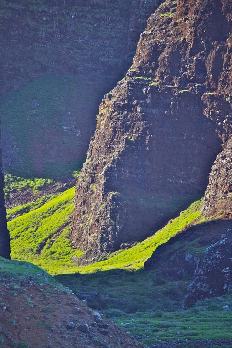 a close up of a rock mountain in the background