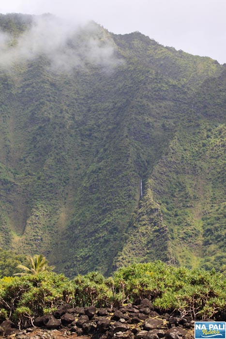 a large mountain in the background