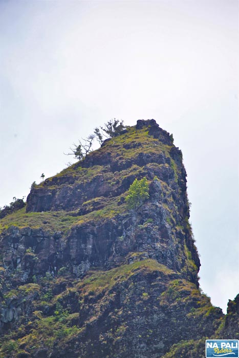 a close up of a rocky mountain