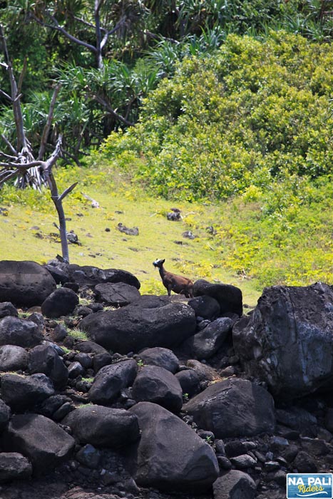 a rocky island in the middle of a large rock
