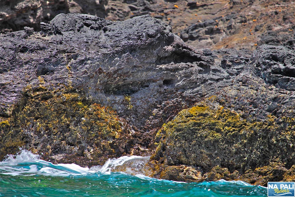 a rocky beach