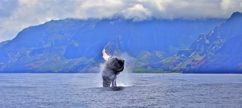 a body of water with a mountain in the background