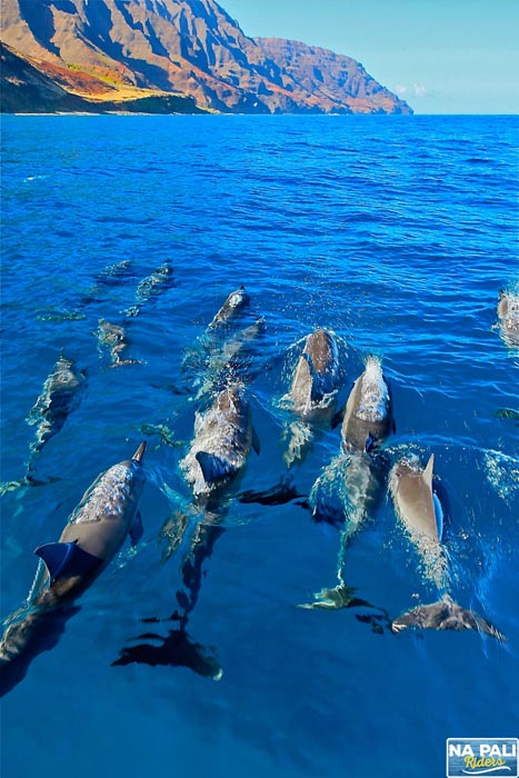 a flock of seagulls standing next to a body of water
