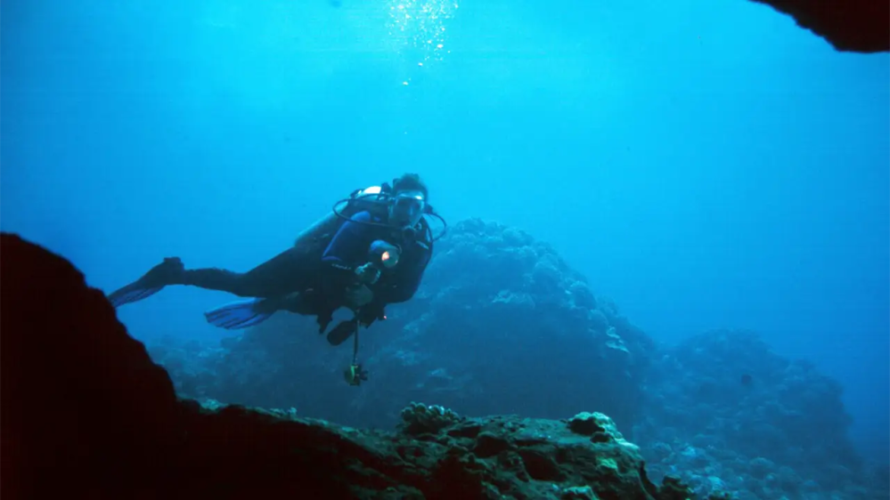 Scuba diver underwater near coral in clear blue water.
