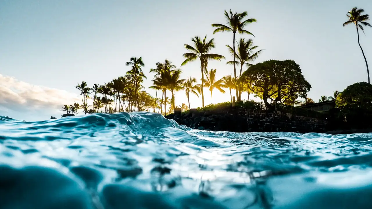 Low angle of ocean waves with silhouetted palm trees and sunrise in the background.