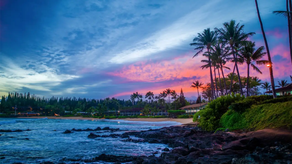 Tropical beach at sunset with palm trees and colorful sky.