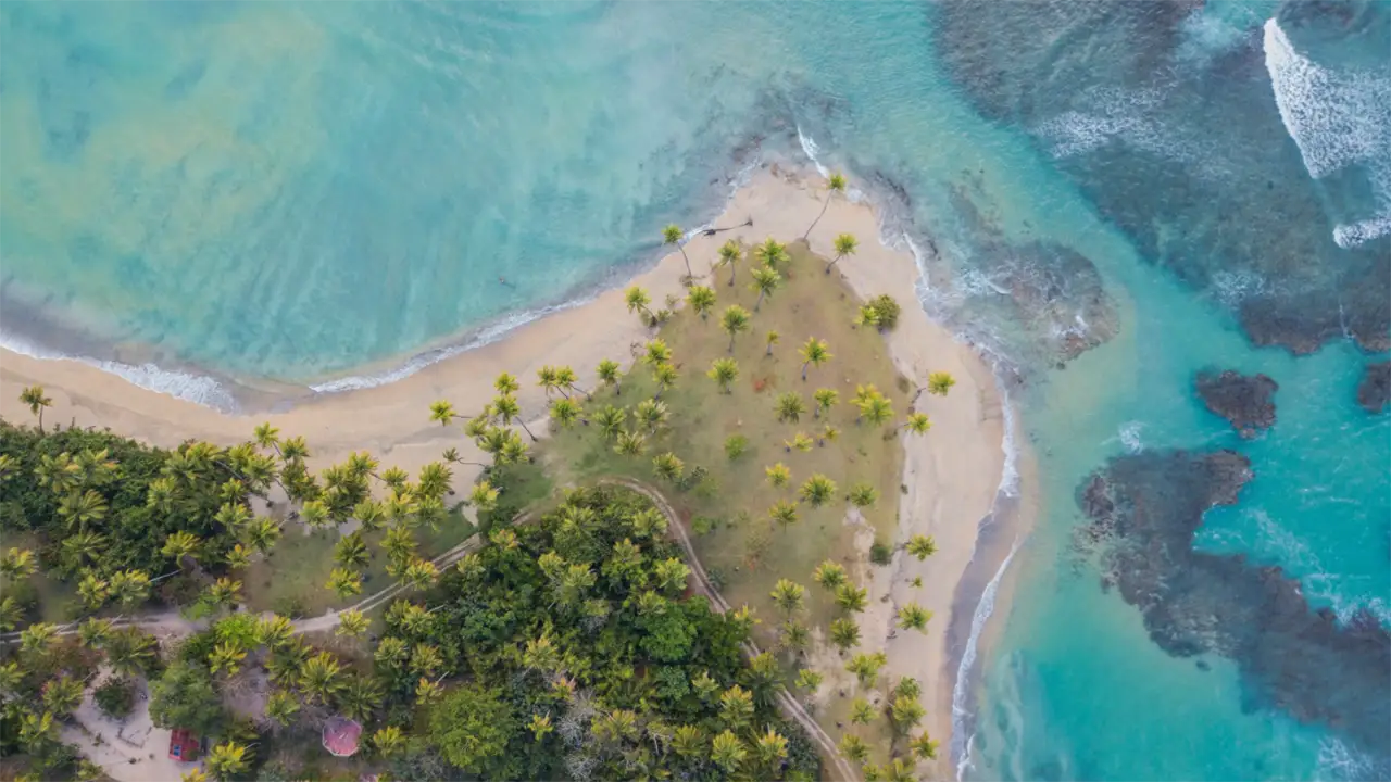 Aerial view of a tropical beach with palm trees and turquoise waters.