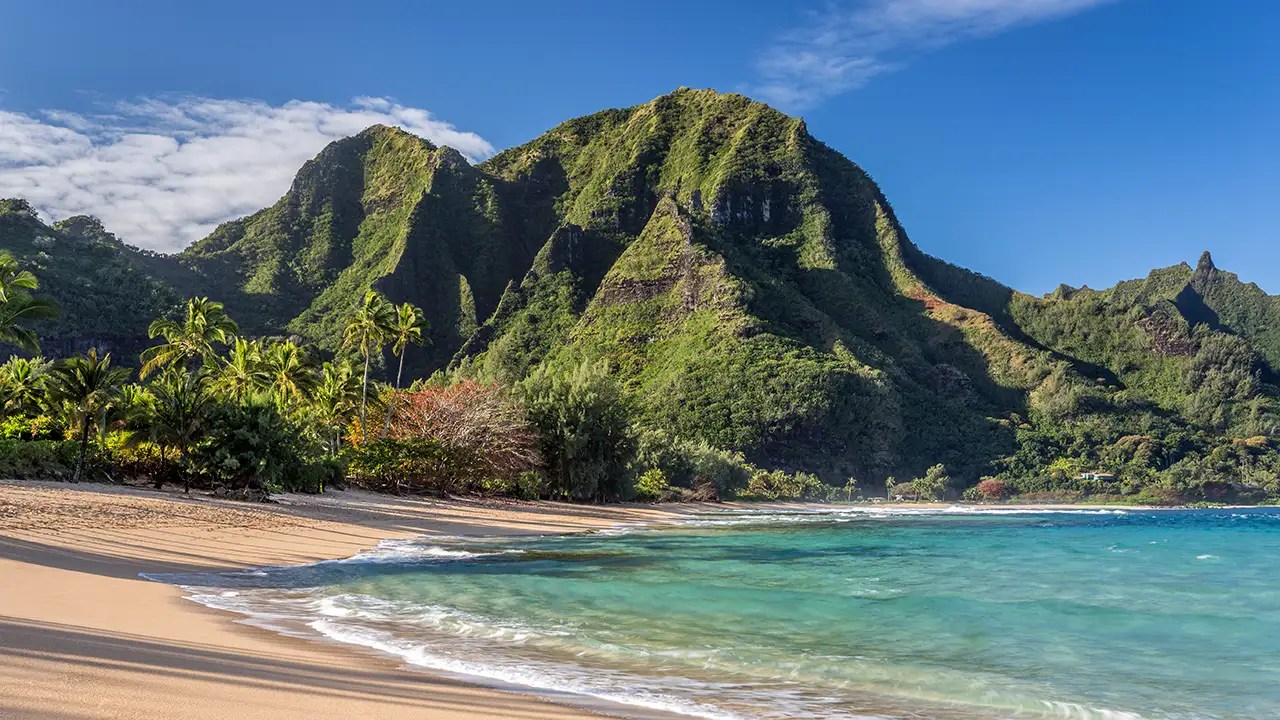 Tropical beach with lush green mountains and clear blue sky.